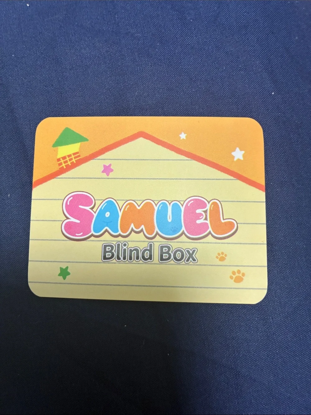 Samuel Blind Box happy meow house